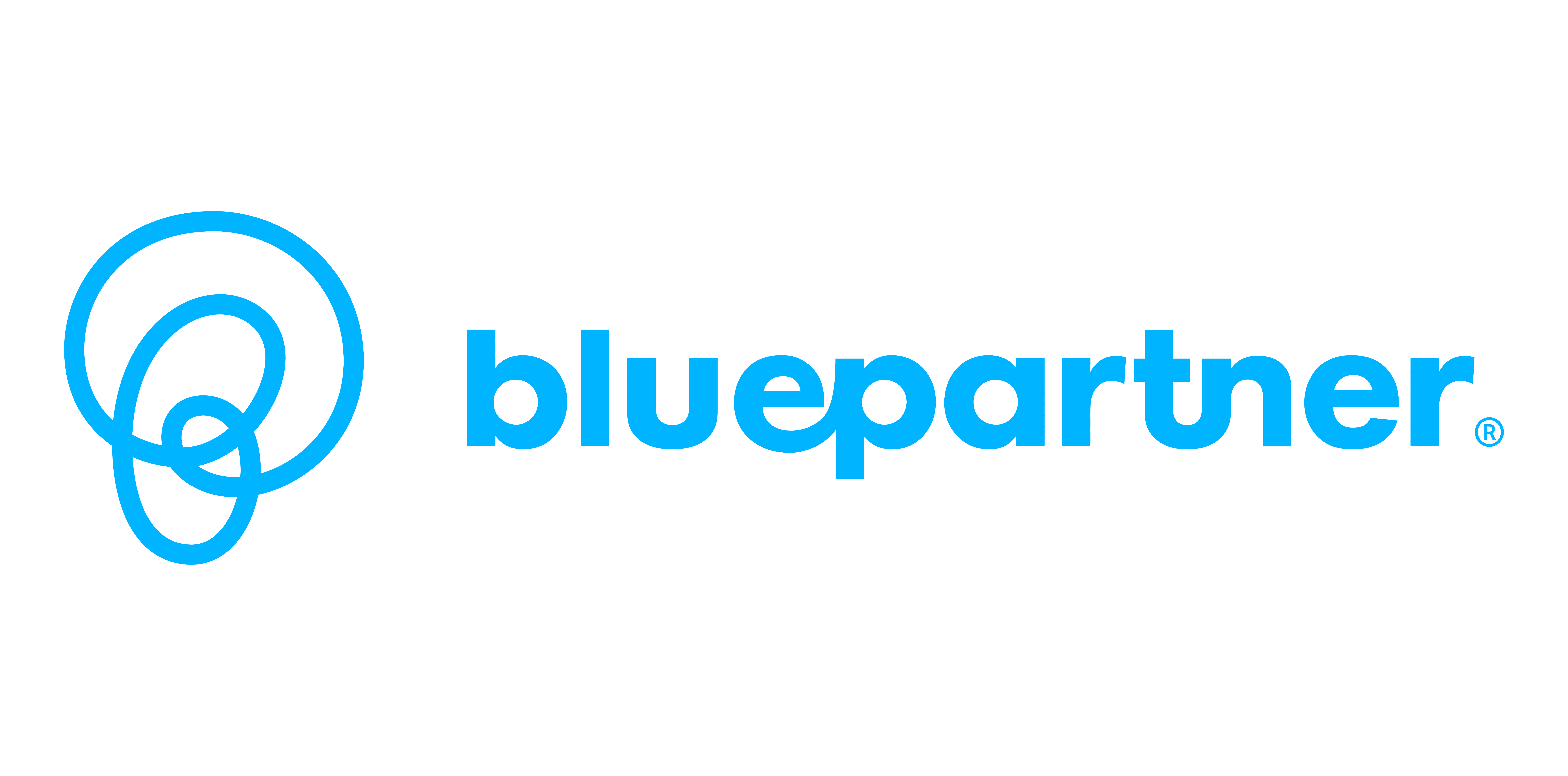 BluePartner Logo